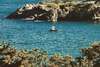 HOLIDAYNEST Conciergerie à Èze-sur-Mer
